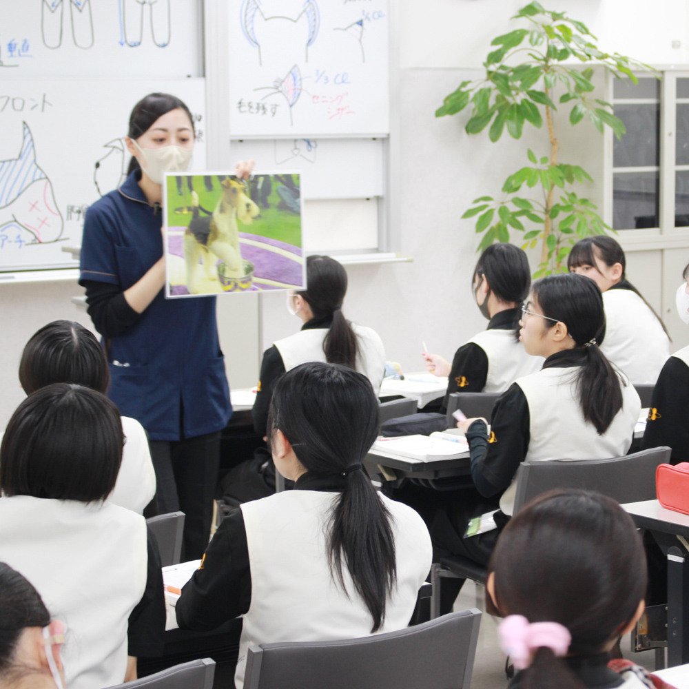 トリミングの基礎を学ぶ講義♪